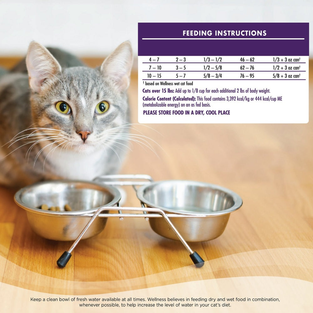 Wellness Complete Health Deboned Chicken & Chicken Meal Grain Free Senior Dry Cat Food - Mr Mochas Pet Supplies