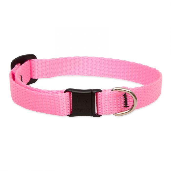 Lupine Basic Solids Safety Cat Collar - Mr Mochas Pet Supplies