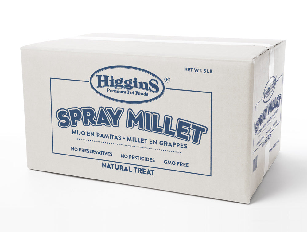 Higgins Spray Millet Treat - Mr Mochas Pet Supplies