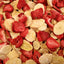 Higgins Sunburst Freeze Dried Fruit Strawberry Banana Treat - Mr Mochas Pet Supplies