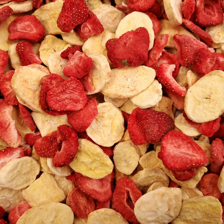 Higgins Sunburst Freeze Dried Fruit Strawberry Banana Treat - Mr Mochas Pet Supplies
