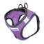 BayDog Liberty Bay Harness - Violet