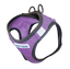 BayDog Liberty Bay Harness - Violet