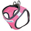 BayDog Liberty Bay Harness - Pink
