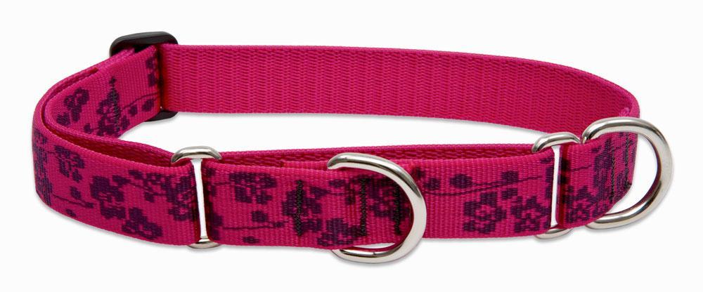 Lupine Pet - Plum Blossom