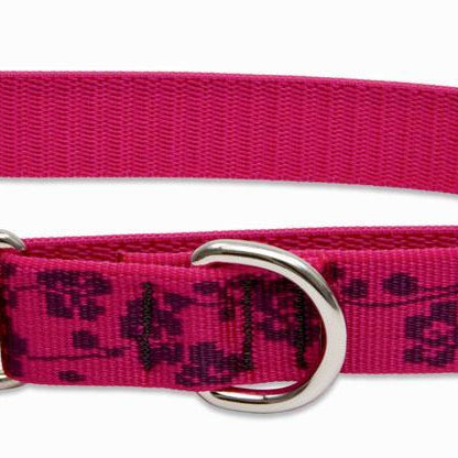 Lupine Pet - Plum Blossom