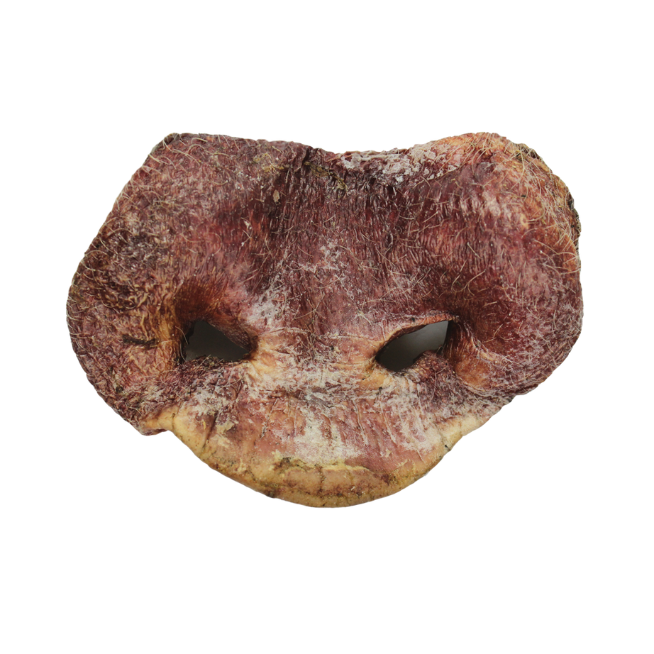 Vital Essentials Raw Bar Treat Bulk Bulk FD Pig Snout - Mr Mochas Pet Supplies