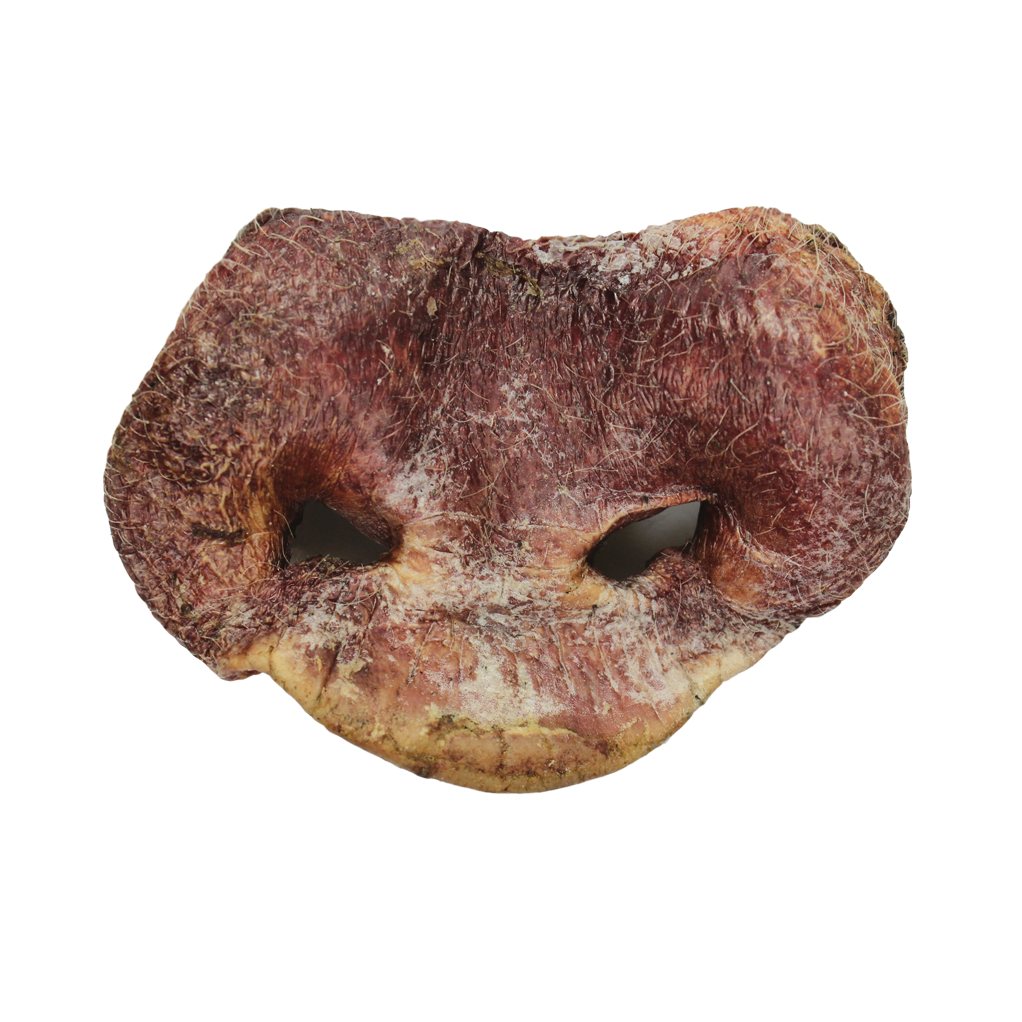 Vital Essentials Raw Bar Treat Bulk Bulk FD Pig Snout - Mr Mochas Pet Supplies