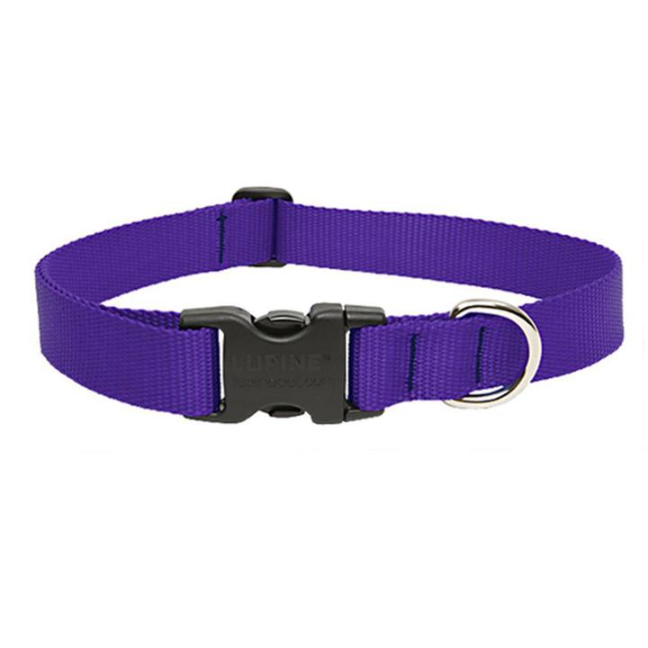 Lupine 1" Collar 16"- 28" Adj Purple - Mr Mochas Pet Supplies