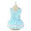 Blue Gingham Check Dress with White Lace - Mr Mochas Pet Supplies