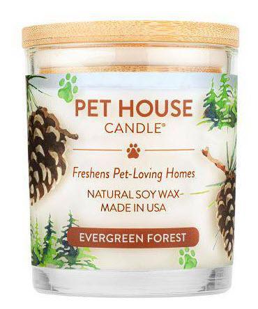 Pet House Candle Evergreen Forest