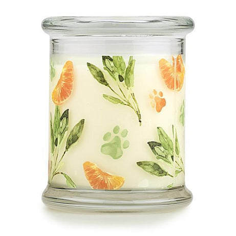 Pet House Candle Pumpkin Spice - Mr Mochas Pet Supplies