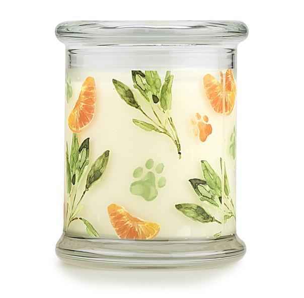 Pet House Candle Pumpkin Spice - Mr Mochas Pet Supplies