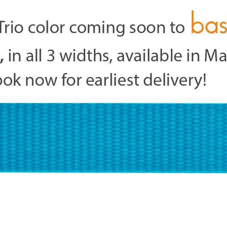 Lupine Collar 10-16 Adj Blue