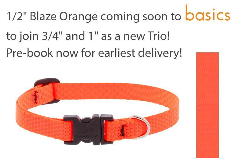 Lupine 1 inch 15-22 Martingale Training Collar