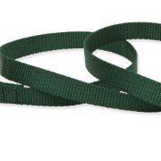 Lupine 3/4in Green 6ft Leash - Mr Mochas Pet Supplies