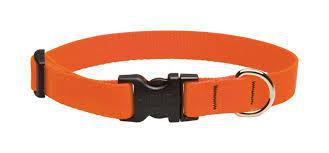 Lupine Basics 3/4" Collar 13"-22" Blaze Orange - Mr Mochas Pet Supplies
