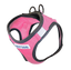 BayDog Liberty Bay Harness - Pink