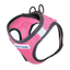 BayDog Liberty Bay Harness - Pink