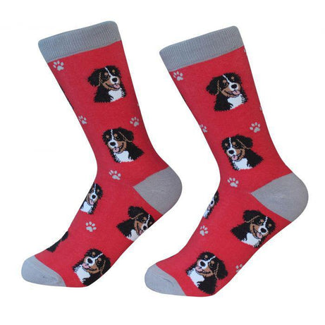 Pet Socks -Bernese Mt. Dog - Mr Mochas Pet Supplies
