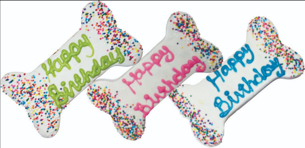 Preppy Puppy Birthday Bone