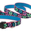 Lupine Pet - Flower Power