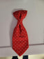 Necktie, over collar Christmas - Medium/Large