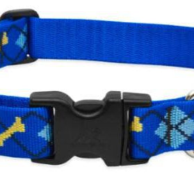 Lupine Pet - Dapper Dog