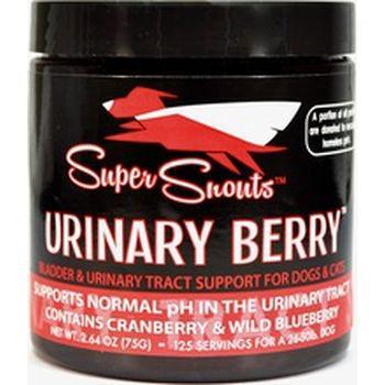 Diggin' Your Dog Super Snouts Urinary Berry Bladder 75 gm - Mr Mochas Pet Supplies