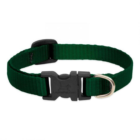 Lupine 3/4in 14-20 Martingale Training Collar