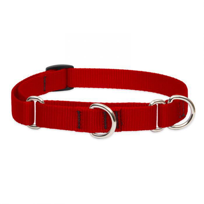 Lupine 3/4in Red 10-14 Martingale Training Collar - Mr Mochas Pet Supplies