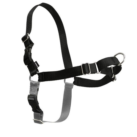 PetSafe Easy Walk Harness Red